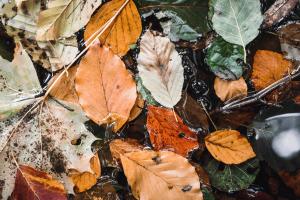 How to Stop Leaves Blowing Under the Garage Door
